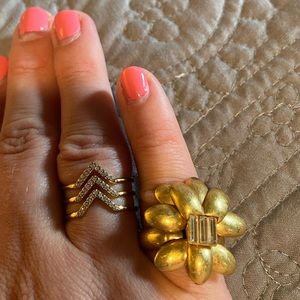 Meet your Posher, Sasha